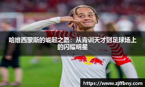IM电竞官方网站