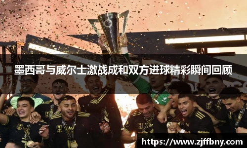 墨西哥与威尔士激战成和双方进球精彩瞬间回顾